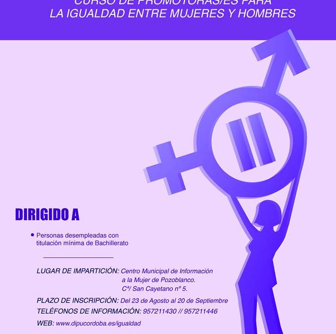 Curso de Promotoras/es para la igualdad entre mujeres y hombres.