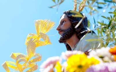 Cartel de Semana Santa 2017. Domingo de Ramos. Hermandad de la Entrada Triunfal de Jesús en Jerusalén, » La Borriquita «.