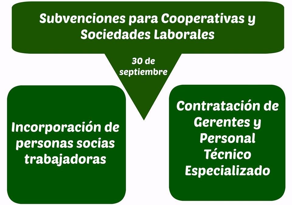 Subvenciones para Cooperativas y Sociedades Laborales. Plazo hasta el 30 de septiembre.