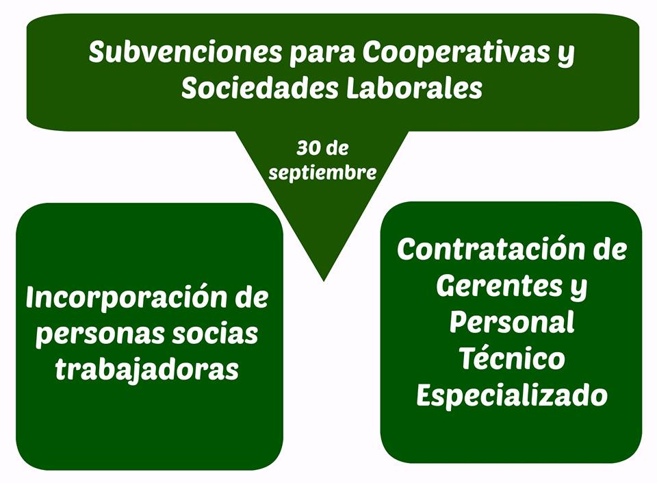 Subvenciones para Cooperativas y Sociedades Laborales. Plazo hasta el 30 de septiembre. 1