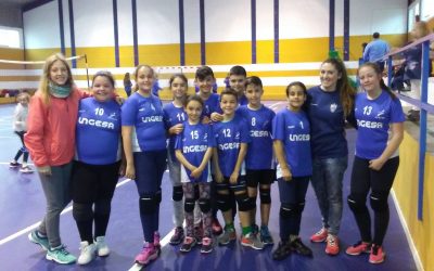 Torneo Voleibol