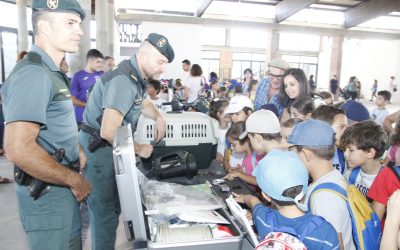 Exhibición especialidades Guardia Civil